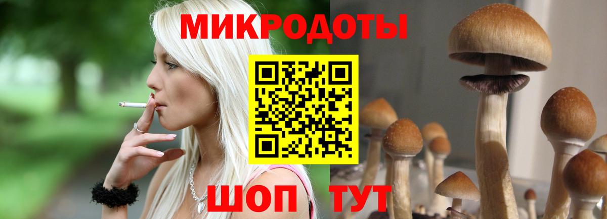 Псилоцибиновые грибы Psilocybe  Вход с VPN  Лабинск  Псилоцибиновые грибы прущие грибы 